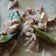 Cooksnap dari faqiaz untuk resep Kicik Daging Sapi Khas Jogja