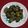 Rekha Ramchandani's cooksnap of when they made પાત્રા (Patra Recipe In Gujarati).