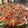 El cooksnap de Manel63 cuando hizo Carpaccio de calabacín con vinagreta de mostaza.