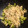 El cooksnap de Maribel cuando hizo Fideos salteados con pollo y brócoli.