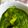 Srilekha Banik's cooksnap of when they made ঘরোয়া পালং পনিরের তরকারি  (palak paneer er torkari recipe in Bengali).