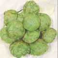 Bansi Thaker's cooksnap of when they made પાલક પૂરી (Palak Poori Recipe In Gujarati).