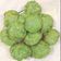 Bansi Thaker's cooksnap of when they made પાલક પૂરી (Palak Poori Recipe In Gujarati).