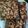 Cooksnap dari Wiwit untuk resep Fudgy Brownies/Brownies Panggang 2 telur