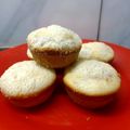El cooksnap de Yesica Lozano cuando hizo Muffins de vainilla y nueces (sin manteca).