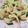 小豐色 的 青蒜培根炒白花 ♥白花椰 1 cooksnap