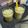 Cooksnap dari Chindy Zakiyah untuk resep Juice Cellery / Jus Seledri anti penuaan dini