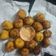 Rita Solanki's cooksnap of when they made ચીઝી પૌંઆ બોલ્સ (Cheesey Poha Balls recipe in Gujarati).