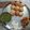 mitu madlani's cooksnap of when they made પાણી પૂરી (Pani Puri Recipe In Gujarati).