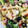 El cooksnap de Irene-Guirao cuando hizo Ensalada de pasta de verano gitana.