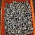 Cooksnap dari MamaZoey untuk resep Kacang telur renyah