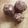 Shandré Candiotes's cooksnap of when they made Peanut Butter Balls.