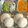 Shipra Goyal's cooksnap of when they made Idli sambar.
