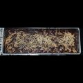 Cooksnap dari Qurotul Sadiqah untuk resep Brownis Fudge