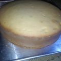 Cooksnap dari Mimin Mimin untuk resep Bolu Tape Original