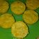 Cooksnap dari Titin Ardiani Ardah untuk resep Bolu kukus pisang mudah & lembut banget