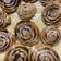 El cooksnap de SOFIA CANOURA cuando hizo "Cinnamon Rolls" - Rollitos de canela RIQUÍSIMOS🍽.