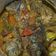 Cooksnap dari Dini Prabowo untuk resep 64. Pesmol Ikan Nila Pedas