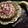 Sumedha Joshi's cooksnap of when they made केळाची कोशिंबीर (kelichi koshimbir recipe in marathi).