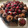 El cooksnap de mariana ojeda cuando hizo Torta Mousse de Chocolate.