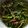 Cooksnap dari Mamah Muda pa alex untuk resep Tumis Kangkung