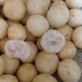 Cooksnap dari Luthfi Nisa untuk resep Cimol Anti meledak dan Anti Gagal