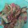 Cooksnap dari Murtafiah Mpi untuk resep -Terong Balado-