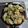 李金魚 的 日式章魚燒（蝦仁燒） cooksnap