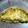 El cooksnap de Mario H. Davi cuando hizo Tarta de choclo, cebolla, puerro y mozzarella!!👌.
