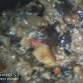 Muskaan Kashif's cooksnap of when they made Baingan Aloo.