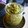 El cooksnap de Salma cuando hizo Pesto de anacardos.