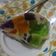 Juli Dave का कुकस्नैप जब उन्होंने रेनबो जेली (Rainbow jelly recipe in hindi) बनाया था।