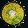 Dipika Bhalla's cooksnap of when they made મકાઈ ઉપમા (Makai Upma Recipe In Gujarati).