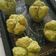 Cooksnap dari Gita Satya Ananda untuk resep Bolu kukus greentea