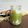 Cooksnap dari Dapur Bunda Daisy untuk resep Ice Matcha Latte