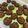 Cooksnap dari Venny yulia Putri untuk resep Good Time Chocochips Cookies Kering #KamisManis