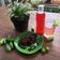 Cooksnap dari Hasby Biasafil untuk resep Syrup dan manisan kering belimbing wuluh