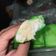Cooksnap dari Nuryani Usdek untuk resep Pancake Durian Ekonomis