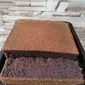 Cooksnap dari Noname untuk resep Bolu ketan hitam panggang