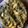 Vijeta Priyam's cooksnap of when they made Lipsmacking Spinach-Potato in Mustard oil.
