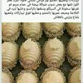 صورة من محمد منير، شاركها بعد تجربة وصفة ڨراتان بالبطاطا وصوص روعة (تع ام وليد)