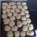 El cooksnap de Javier Martin cuando hizo Galletitas de Limón! - Maizena y harina integral.