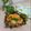 Cooksnap dari Mama Nia untuk resep Rondo Royal