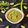 Keshma Raichura's cooksnap of when they made Amla chutney.