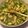 El cooksnap de María Fernanda Pozo Castillo cuando hizo Pollo en salsa de cilantro.