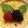 Roger Searle's cooksnap of when they made Creme Brulee.