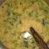 Cooksnap dari Nana untuk resep Selada air masak santan