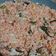 Cooksnap dari Augustina Sirat untuk resep Nasi Goreng Merah khas Surabaya