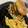El cooksnap de Adrian Garcia gazquez cuando hizo Smash Big Mac.