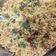 Pinal Patel's cooksnap of when they made તવા પુલાવ (Tava Pulao Recipe In Gujarati).